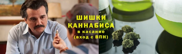 гидра Алзамай