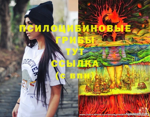 ГАЛЛЮЦИНОГЕННЫЕ ГРИБЫ Алексин