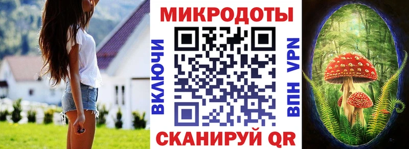 купить наркотики сайты  Саров  Галлюциногенные грибы мицелий 